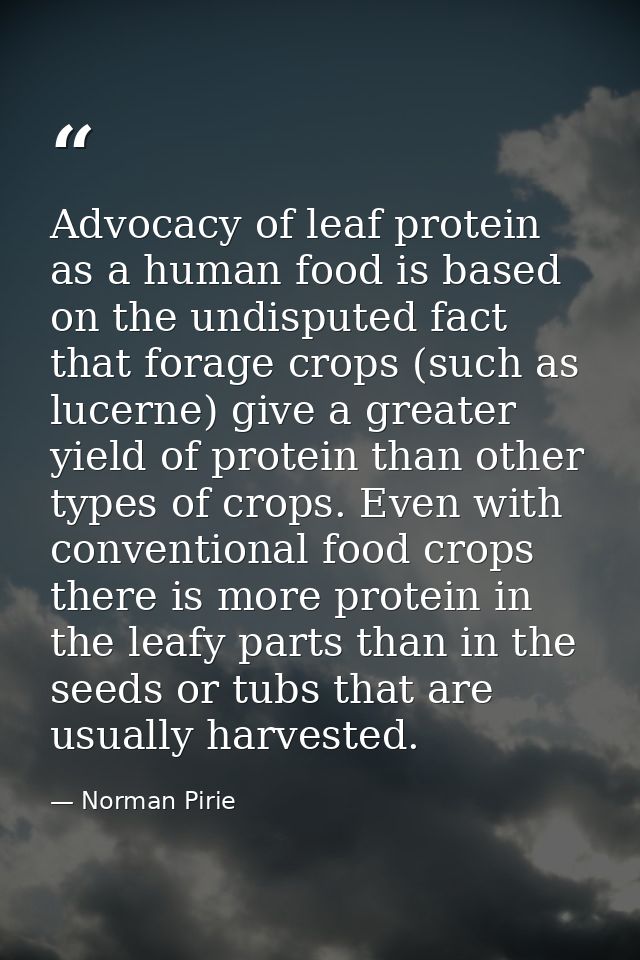 Advocacy of leaf protein as a human food is based on the undisputed fact that forage crops (such as lucerne) give a grea — Norman Pirie