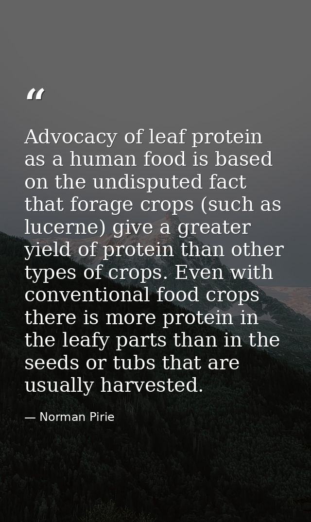 Advocacy of leaf protein as a human food is based on the undisputed fact that forage crops (such as lucerne) give a grea — Norman Pirie