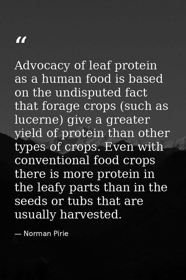 Advocacy of leaf protein as a human food is based on the undisputed fact that forage crops (such as lucerne) give a grea — Norman Pirie