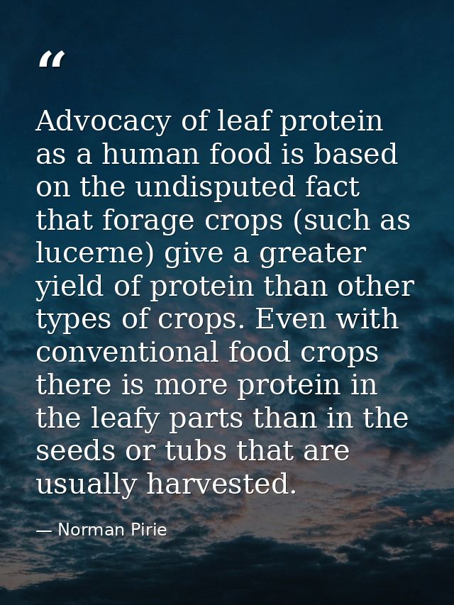 Advocacy of leaf protein as a human food is based on the undisputed fact that forage crops (such as lucerne) give a grea — Norman Pirie