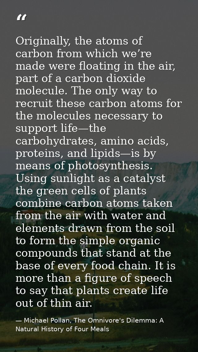 Originally, the atoms of carbon from which we’re made were floating in the air, part of a carbon dioxide molecule. The o — Michael Pollan, The Omnivore's Dilemma: A Natural History of Four Meals