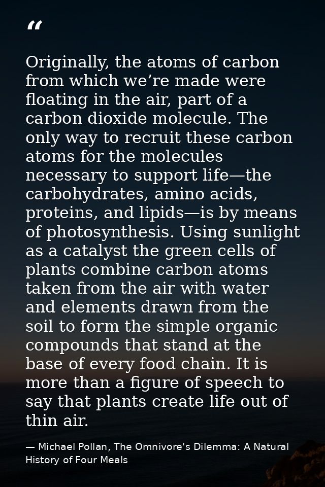 Originally, the atoms of carbon from which we’re made were floating in the air, part of a carbon dioxide molecule. The o — Michael Pollan, The Omnivore's Dilemma: A Natural History of Four Meals