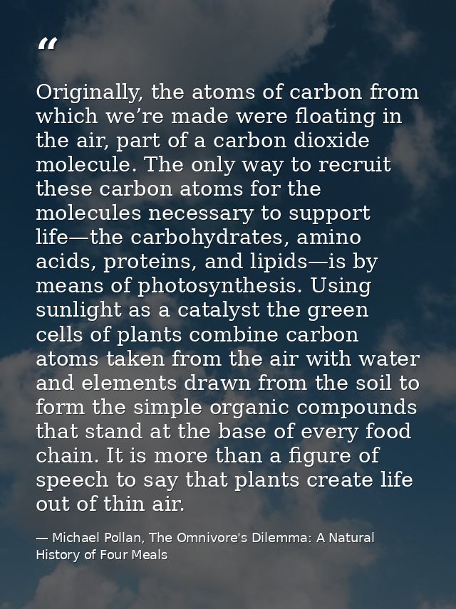 Originally, the atoms of carbon from which we’re made were floating in the air, part of a carbon dioxide molecule. The o — Michael Pollan, The Omnivore's Dilemma: A Natural History of Four Meals