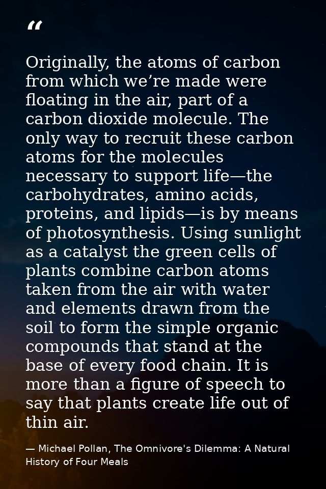 Originally, the atoms of carbon from which we’re made were floating in the air, part of a carbon dioxide molecule. The o — Michael Pollan, The Omnivore's Dilemma: A Natural History of Four Meals
