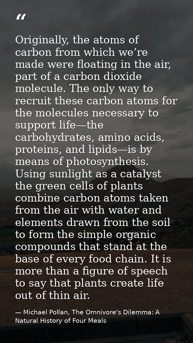 Originally, the atoms of carbon from which we’re made were floating in the air, part of a carbon dioxide molecule. The o — Michael Pollan, The Omnivore's Dilemma: A Natural History of Four Meals