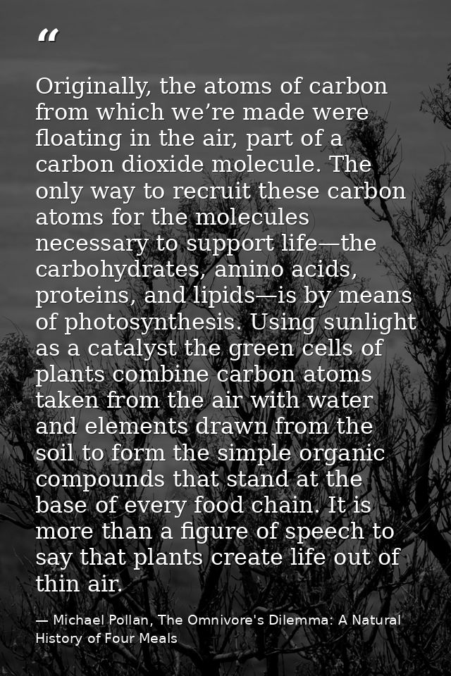 Originally, the atoms of carbon from which we’re made were floating in the air, part of a carbon dioxide molecule. The o — Michael Pollan, The Omnivore's Dilemma: A Natural History of Four Meals