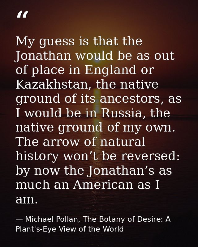 My guess is that the Jonathan would be as out of place in England or Kazakhstan, the native ground of its ancestors, as  — Michael Pollan, The Botany of Desire: A Plant's-Eye View of the World