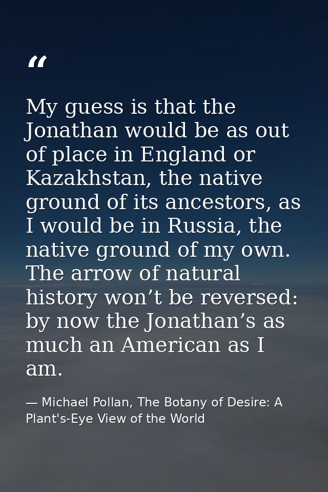 My guess is that the Jonathan would be as out of place in England or Kazakhstan, the native ground of its ancestors, as  — Michael Pollan, The Botany of Desire: A Plant's-Eye View of the World