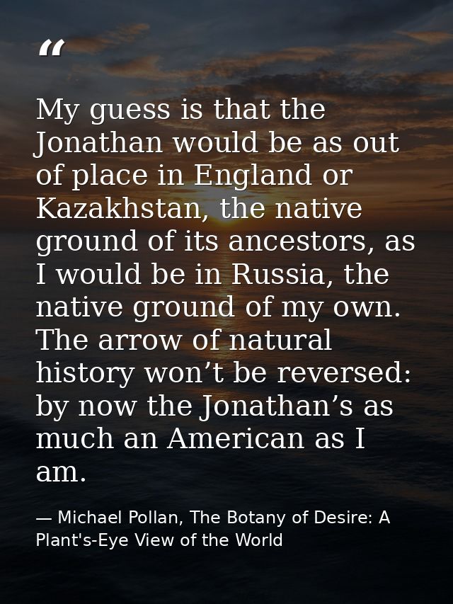 My guess is that the Jonathan would be as out of place in England or Kazakhstan, the native ground of its ancestors, as  — Michael Pollan, The Botany of Desire: A Plant's-Eye View of the World