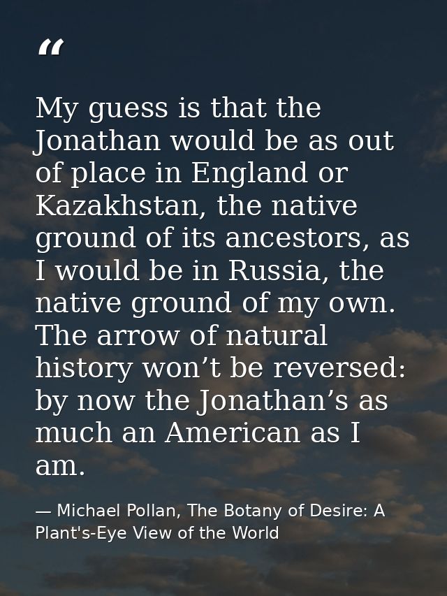 My guess is that the Jonathan would be as out of place in England or Kazakhstan, the native ground of its ancestors, as  — Michael Pollan, The Botany of Desire: A Plant's-Eye View of the World