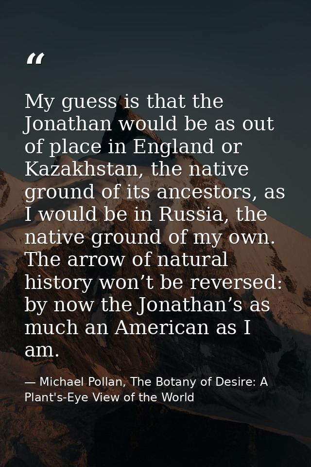 My guess is that the Jonathan would be as out of place in England or Kazakhstan, the native ground of its ancestors, as  — Michael Pollan, The Botany of Desire: A Plant's-Eye View of the World