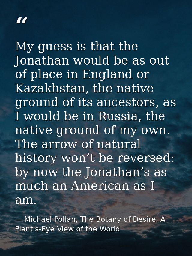 My guess is that the Jonathan would be as out of place in England or Kazakhstan, the native ground of its ancestors, as  — Michael Pollan, The Botany of Desire: A Plant's-Eye View of the World