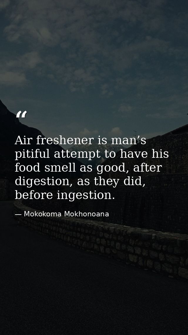 Air freshener is man’s pitiful attempt to have his food smell as good, after digestion, as they did, before ingestion. — Mokokoma Mokhonoana