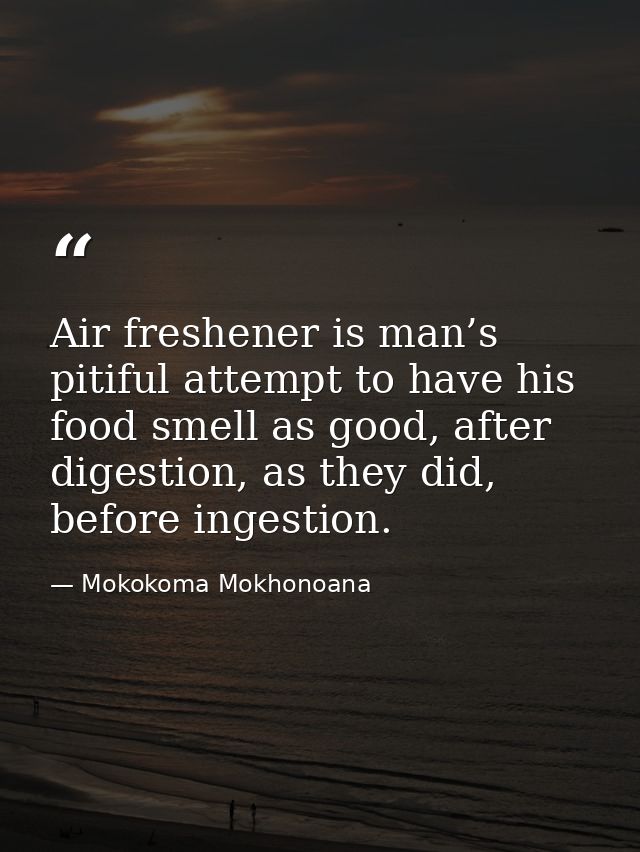 Air freshener is man’s pitiful attempt to have his food smell as good, after digestion, as they did, before ingestion. — Mokokoma Mokhonoana