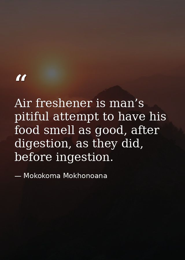 Air freshener is man’s pitiful attempt to have his food smell as good, after digestion, as they did, before ingestion. — Mokokoma Mokhonoana