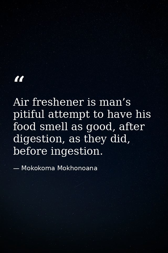Air freshener is man’s pitiful attempt to have his food smell as good, after digestion, as they did, before ingestion. — Mokokoma Mokhonoana