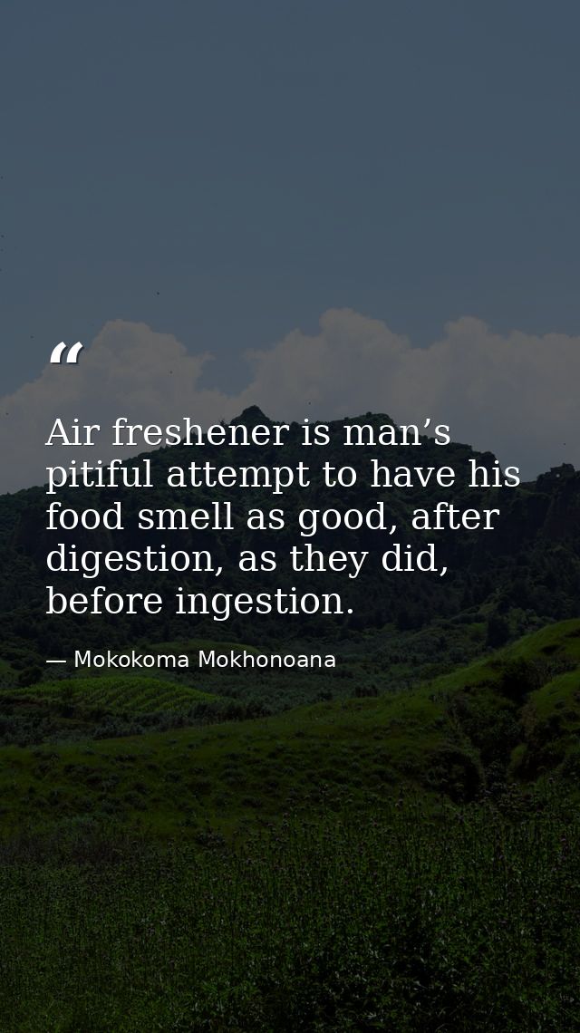 Air freshener is man’s pitiful attempt to have his food smell as good, after digestion, as they did, before ingestion. — Mokokoma Mokhonoana