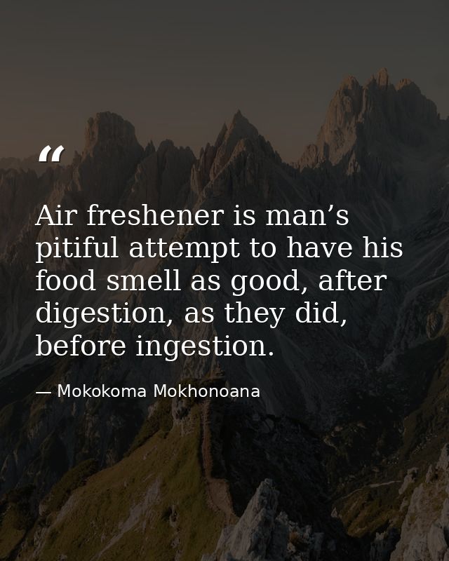 Air freshener is man’s pitiful attempt to have his food smell as good, after digestion, as they did, before ingestion. — Mokokoma Mokhonoana