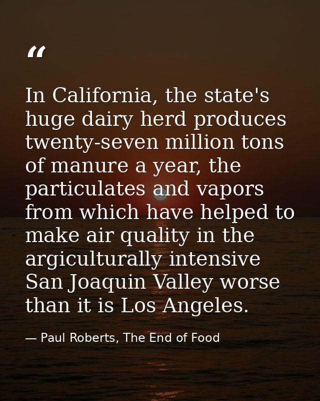 In California, the state's huge dairy herd produces twenty-seven million tons of manure a year, the particulates and vap — Paul Roberts, The End of Food