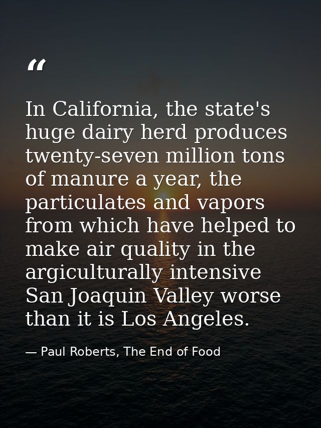 In California, the state's huge dairy herd produces twenty-seven million tons of manure a year, the particulates and vap — Paul Roberts, The End of Food