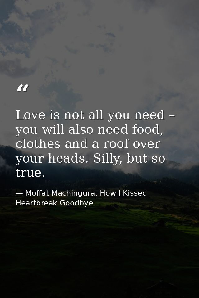 Love is not all you need – you will also need food, clothes and a roof over your heads. Silly, but so true. — Moffat Machingura, How I Kissed Heartbreak Goodbye