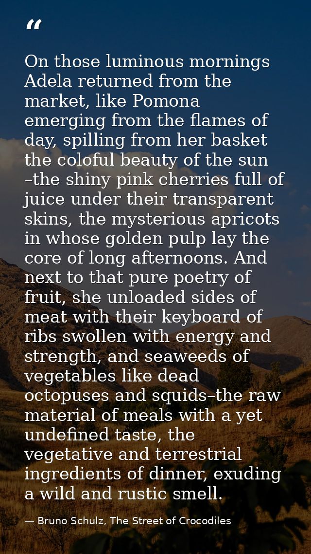 On those luminous mornings Adela returned from the market, like Pomona emerging from the flames of day, spilling from he — Bruno Schulz, The Street of Crocodiles
