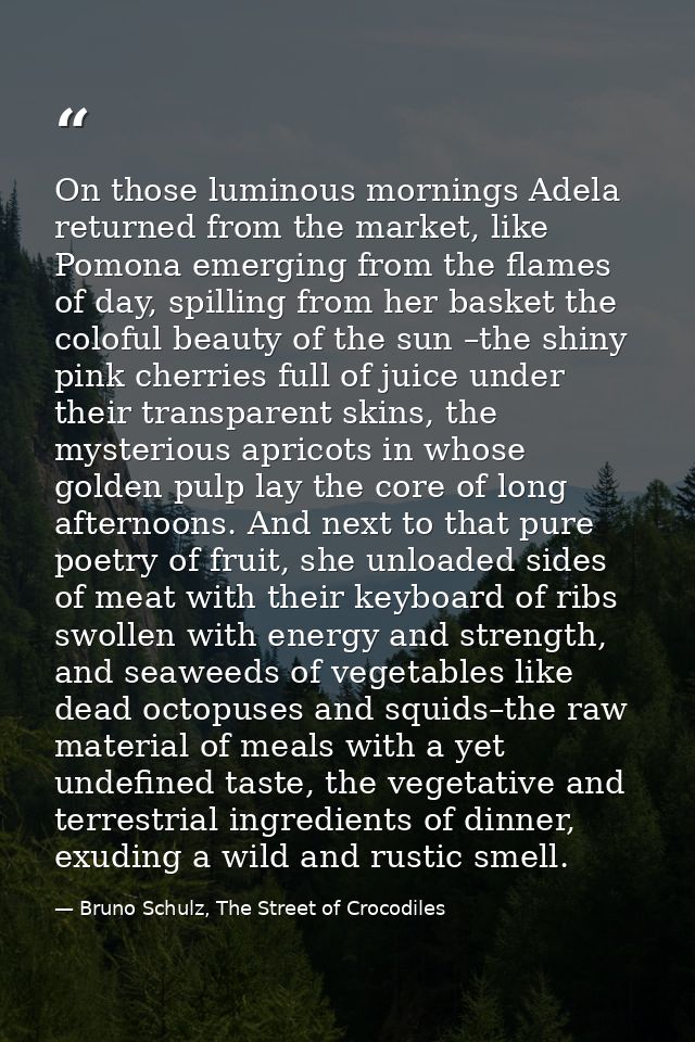 On those luminous mornings Adela returned from the market, like Pomona emerging from the flames of day, spilling from he — Bruno Schulz, The Street of Crocodiles