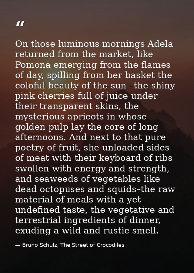 On those luminous mornings Adela returned from the market, like Pomona emerging from the flames of day, spilling from he — Bruno Schulz, The Street of Crocodiles