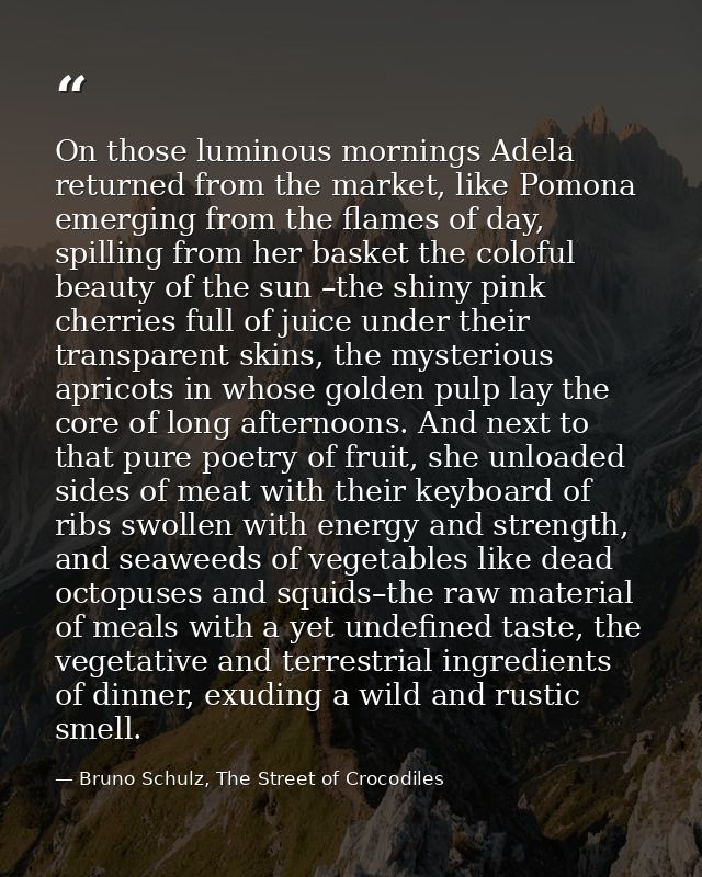 On those luminous mornings Adela returned from the market, like Pomona emerging from the flames of day, spilling from he — Bruno Schulz, The Street of Crocodiles