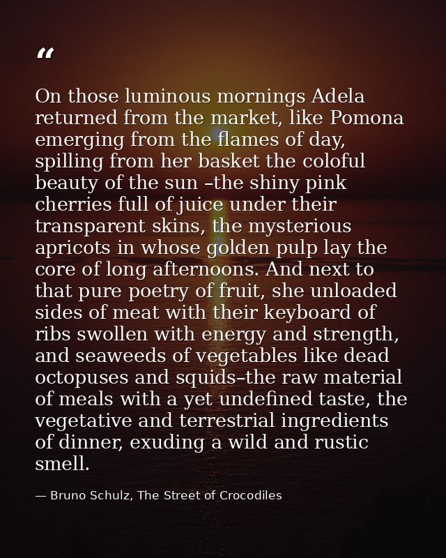 On those luminous mornings Adela returned from the market, like Pomona emerging from the flames of day, spilling from he — Bruno Schulz, The Street of Crocodiles