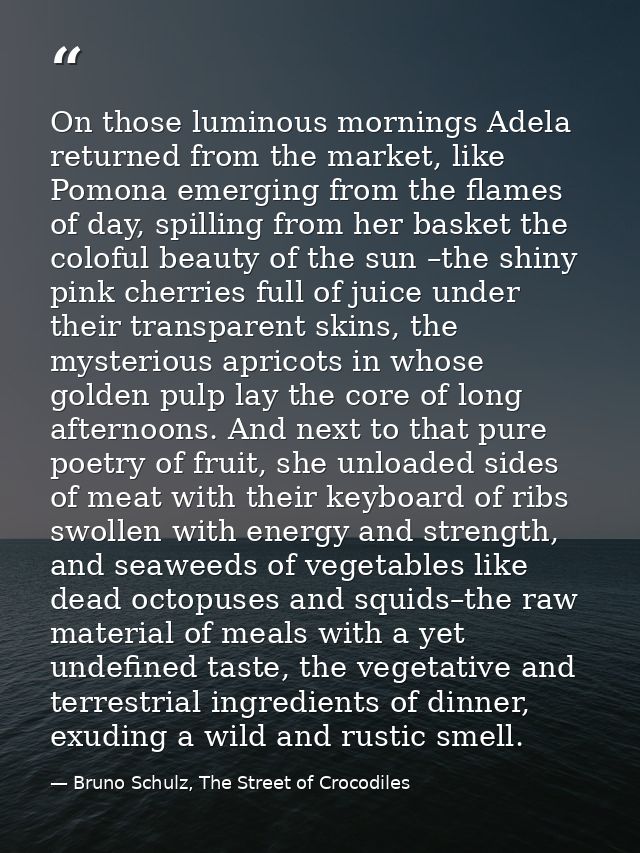 On those luminous mornings Adela returned from the market, like Pomona emerging from the flames of day, spilling from he — Bruno Schulz, The Street of Crocodiles