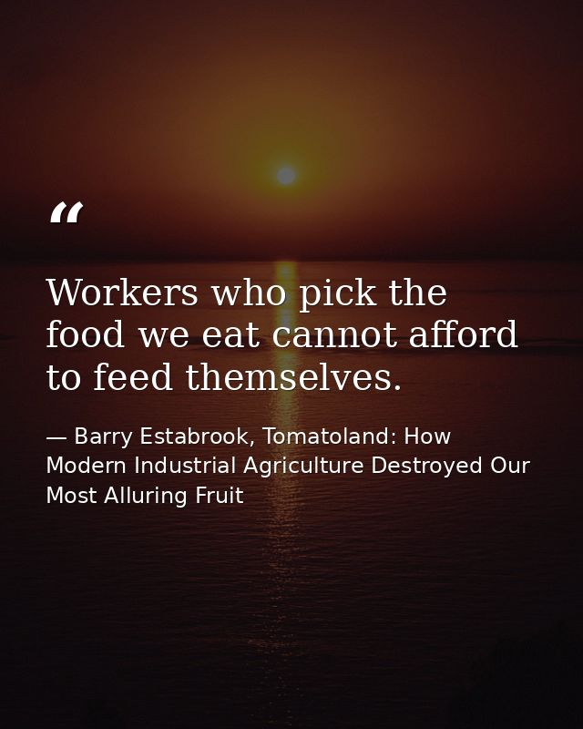 Workers who pick the food we eat cannot afford to feed themselves. — Barry Estabrook, Tomatoland: How Modern Industrial Agriculture Destroyed Our Most Alluring Fruit
