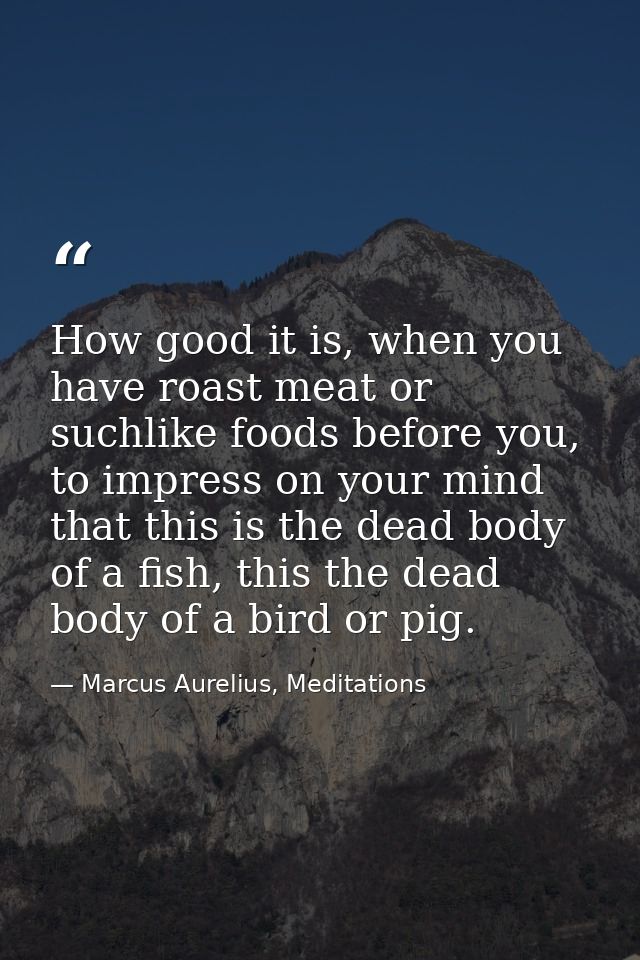 How good it is, when you have roast meat or suchlike foods before you, to impress on your mind that this is the dead bod — Marcus Aurelius, Meditations