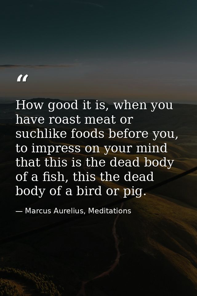 How good it is, when you have roast meat or suchlike foods before you, to impress on your mind that this is the dead bod — Marcus Aurelius, Meditations