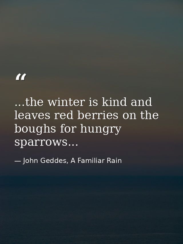 ...the winter is kind and leaves red berries on the boughs for hungry sparrows... — John Geddes, A Familiar Rain