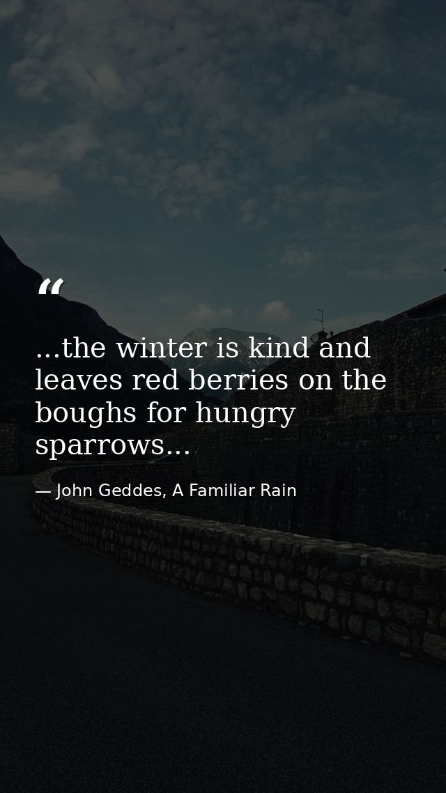 ...the winter is kind and leaves red berries on the boughs for hungry sparrows... — John Geddes, A Familiar Rain