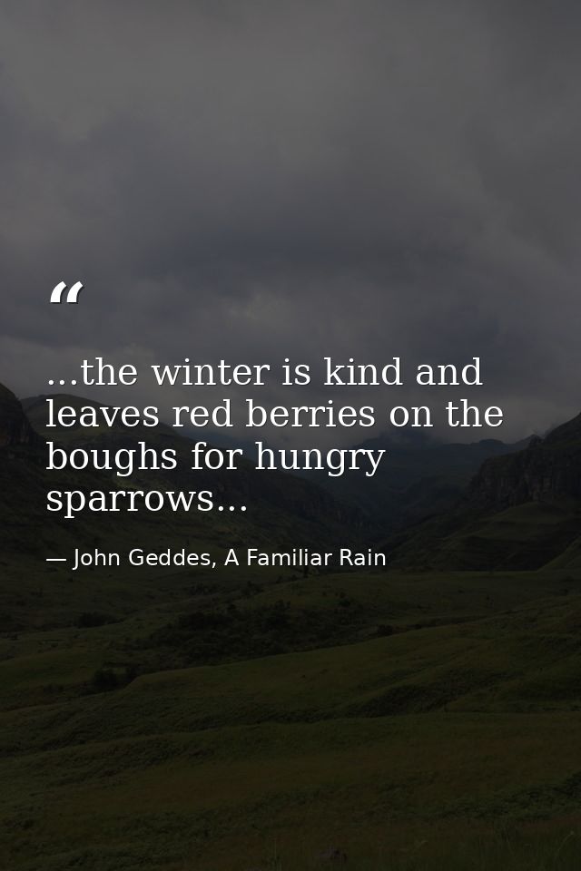 ...the winter is kind and leaves red berries on the boughs for hungry sparrows... — John Geddes, A Familiar Rain