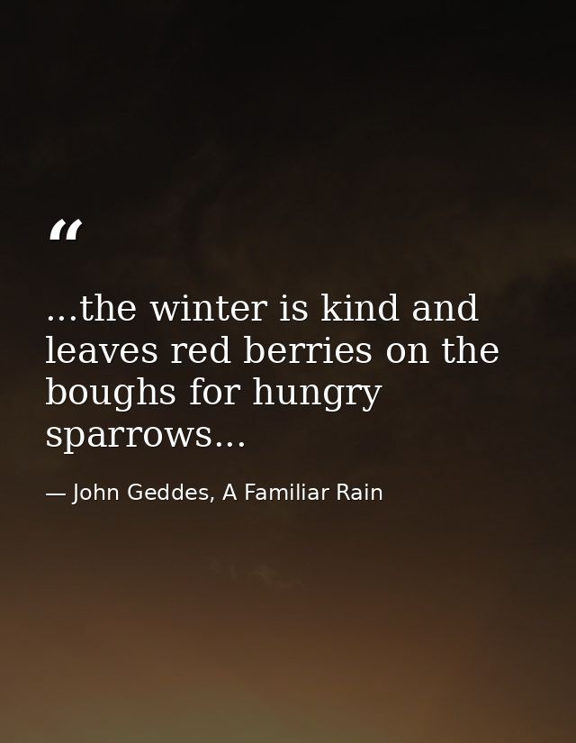...the winter is kind and leaves red berries on the boughs for hungry sparrows... — John Geddes, A Familiar Rain