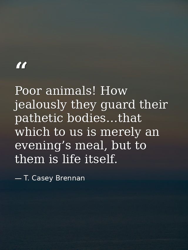 Poor animals! How jealously they guard their pathetic bodies…that which to us is merely an evening’s meal, but to them i — T. Casey Brennan