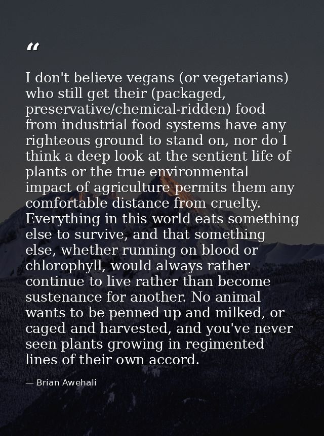 I don't believe vegans (or vegetarians) who still get their (packaged, preservative/chemical-ridden) food from industria — Brian Awehali