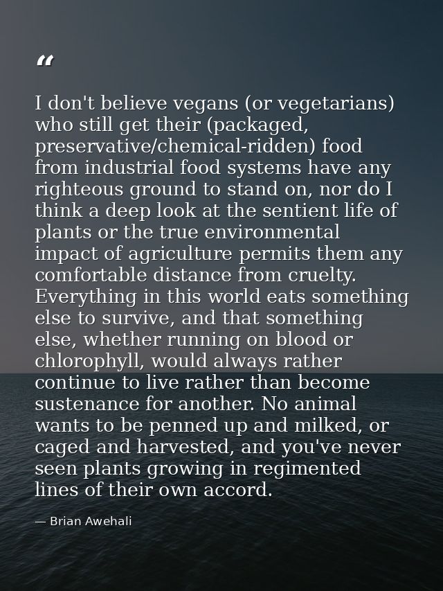 I don't believe vegans (or vegetarians) who still get their (packaged, preservative/chemical-ridden) food from industria — Brian Awehali