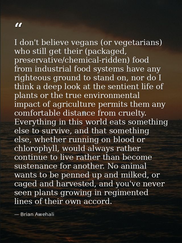 I don't believe vegans (or vegetarians) who still get their (packaged, preservative/chemical-ridden) food from industria — Brian Awehali