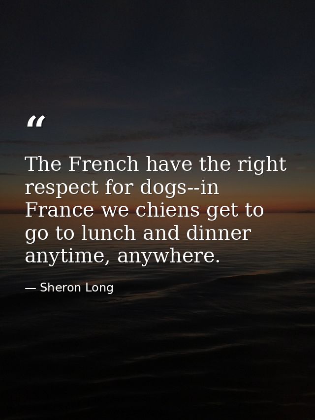 The French have the right respect for dogs--in France we chiens get to go to lunch and dinner anytime, anywhere. — Sheron Long