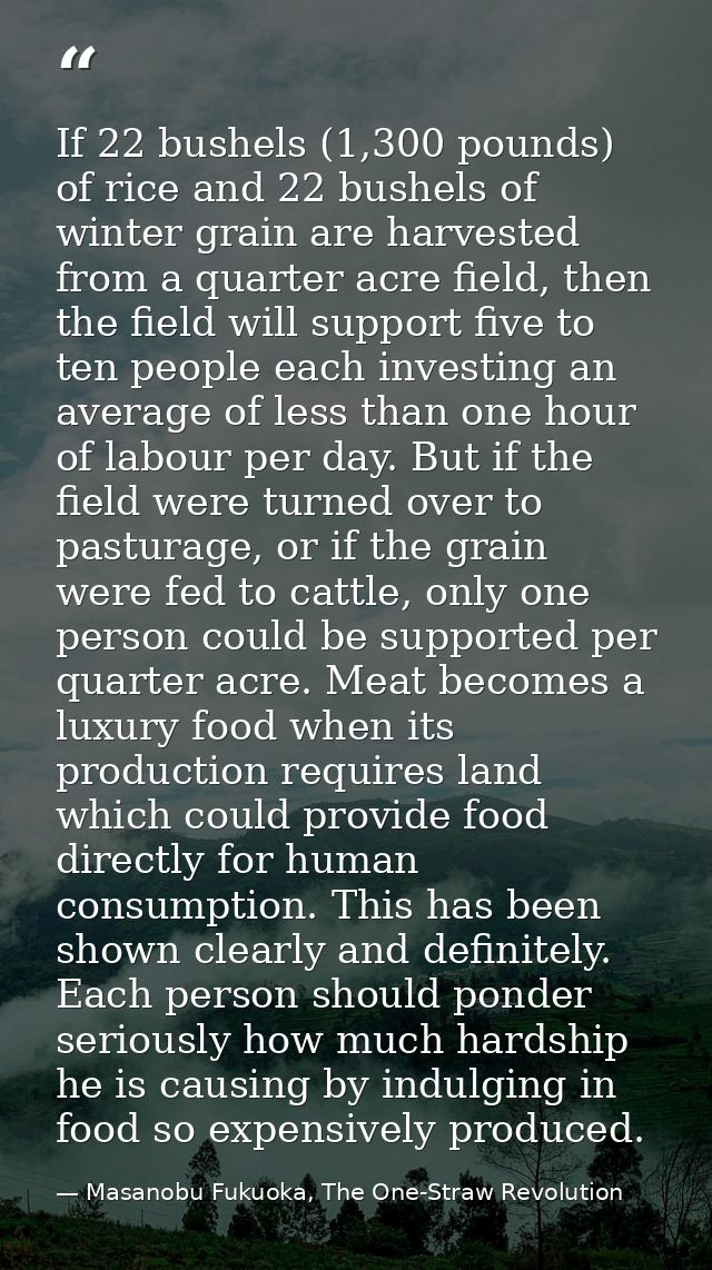 If 22 bushels (1,300 pounds) of rice and 22 bushels of winter grain are harvested from a quarter acre field, then the fi — Masanobu Fukuoka, The One-Straw Revolution