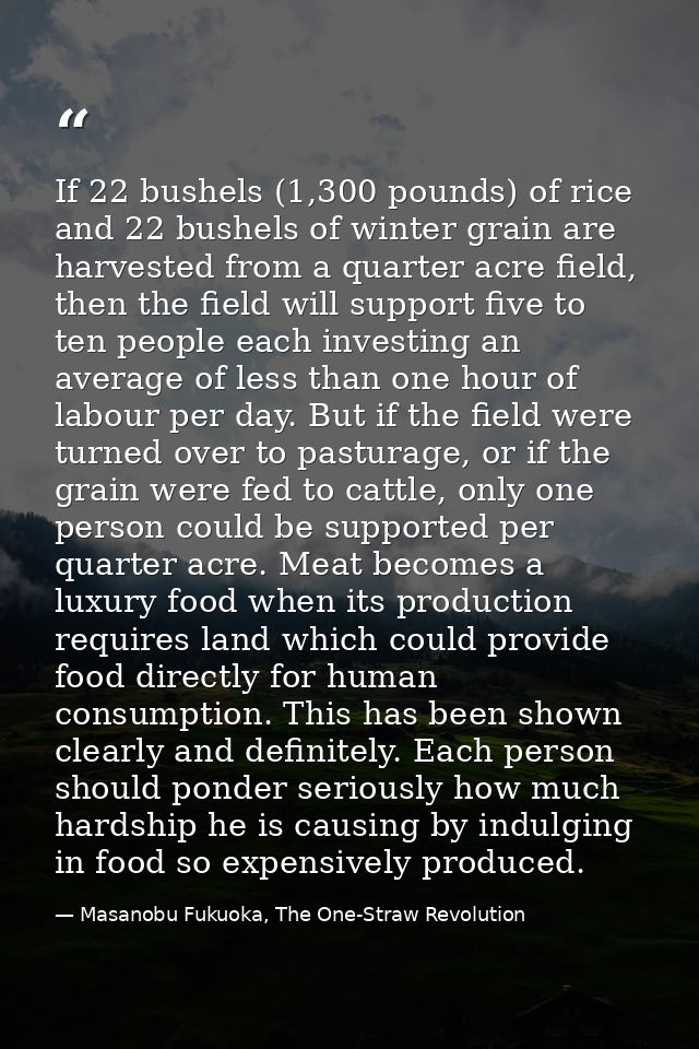 If 22 bushels (1,300 pounds) of rice and 22 bushels of winter grain are harvested from a quarter acre field, then the fi — Masanobu Fukuoka, The One-Straw Revolution