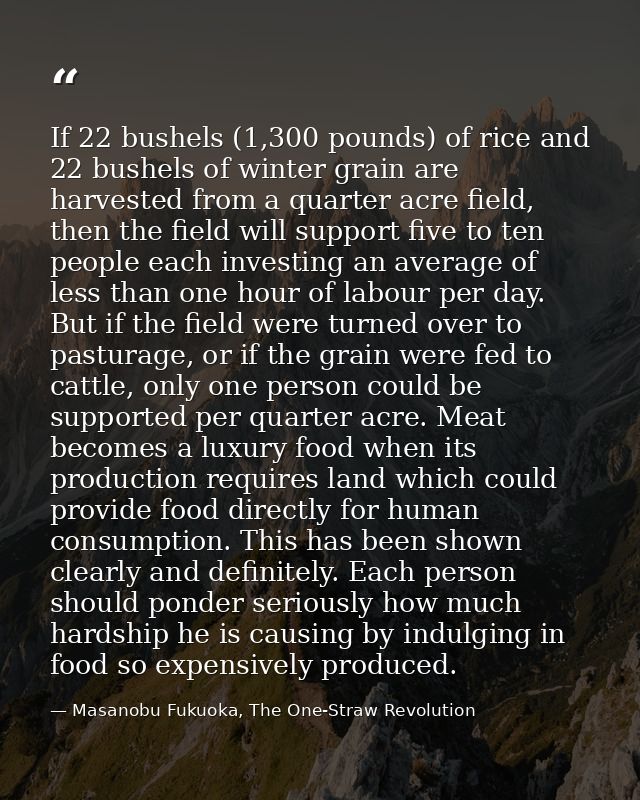 If 22 bushels (1,300 pounds) of rice and 22 bushels of winter grain are harvested from a quarter acre field, then the fi — Masanobu Fukuoka, The One-Straw Revolution
