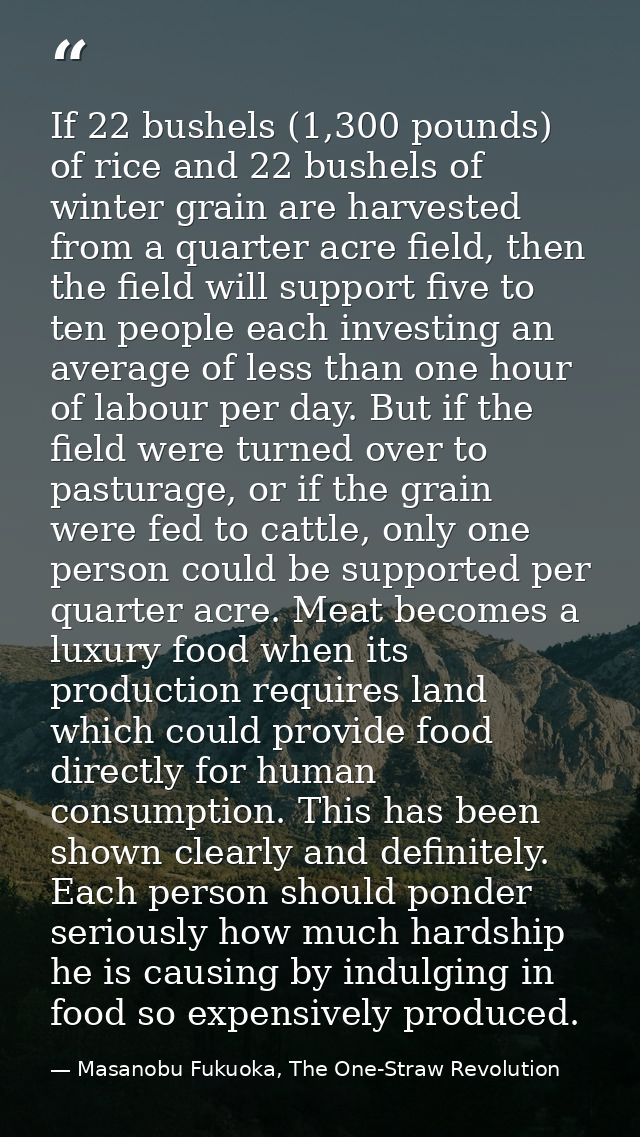 If 22 bushels (1,300 pounds) of rice and 22 bushels of winter grain are harvested from a quarter acre field, then the fi — Masanobu Fukuoka, The One-Straw Revolution