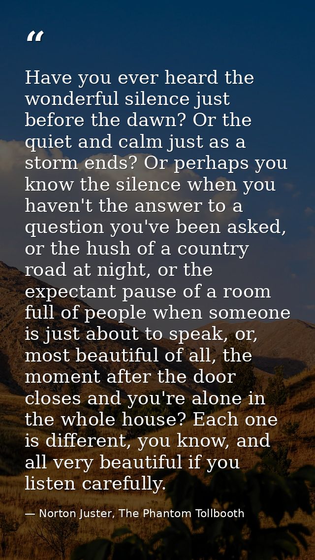 Have you ever heard the wonderful silence just before the dawn? Or the quiet and calm just as a storm ends? Or perhaps y — Norton Juster, The Phantom Tollbooth