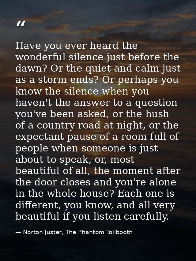 Have you ever heard the wonderful silence just before the dawn? Or the quiet and calm just as a storm ends? Or perhaps y — Norton Juster, The Phantom Tollbooth