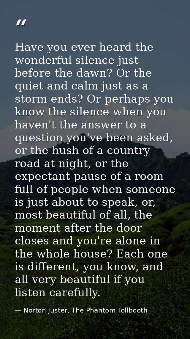 Have you ever heard the wonderful silence just before the dawn? Or the quiet and calm just as a storm ends? Or perhaps y — Norton Juster, The Phantom Tollbooth